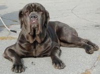oksana.gekkel@mail.ru oksana.gekkel@mail.ru
