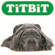 TitBit